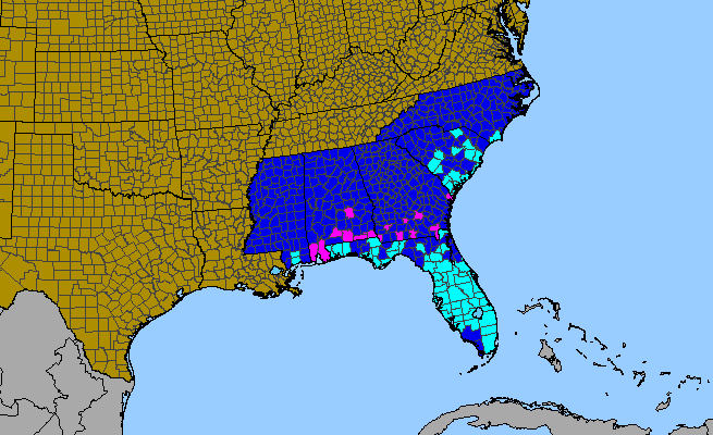 The range of Crotalaria lanceolata