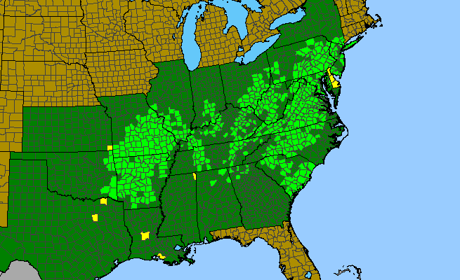 The range of Cunila origanoides
