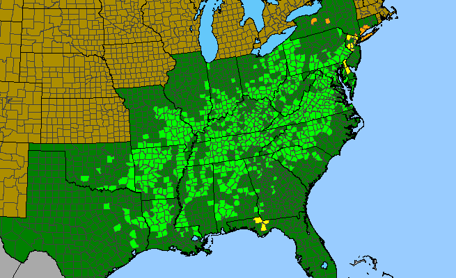 The range of Cynoglossum virginianum