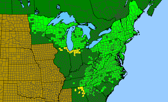 The range of Cypripedium acaule