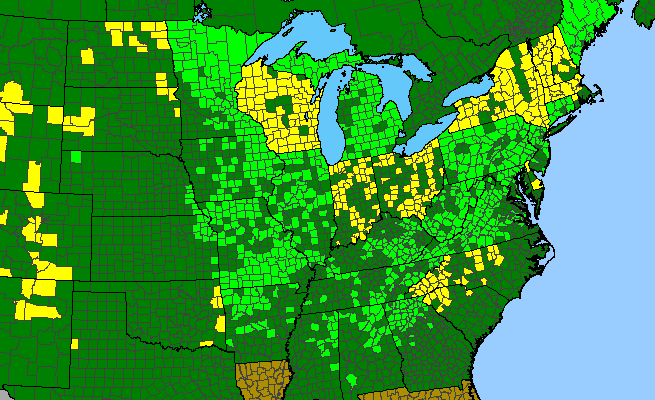The range of Cypripedium parviflorum