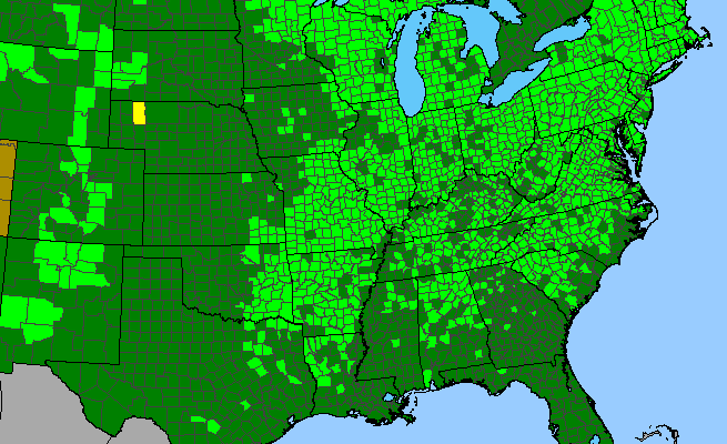 The range of Danthonia spicata