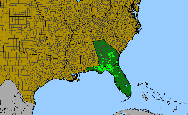 The range of Dicerandra linearifolia