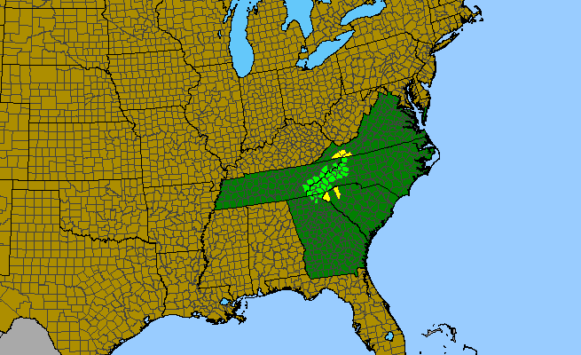 The range of Diphylleia cymosa