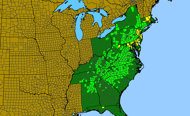 The range of Doellingeria infirma