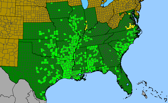 The range of Echinodorus cordifolius