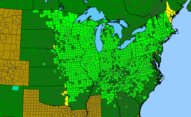 The range of Elymus hystrix var. hystrix