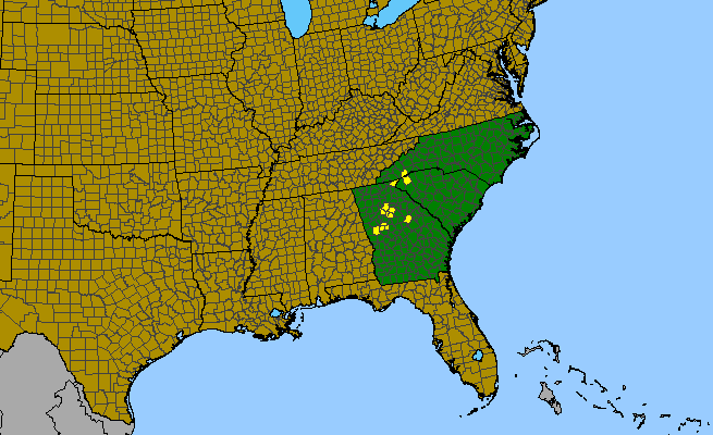 The range of Eurybia avita