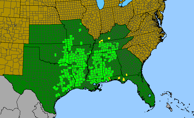 The range of Eurybia hemispherica