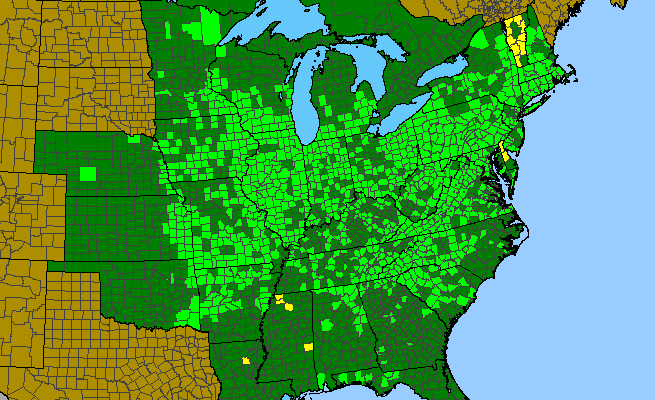 The range of Eutrochium purpureum
