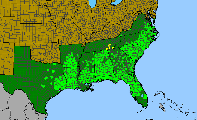 The range of Gelsemium sempervirens