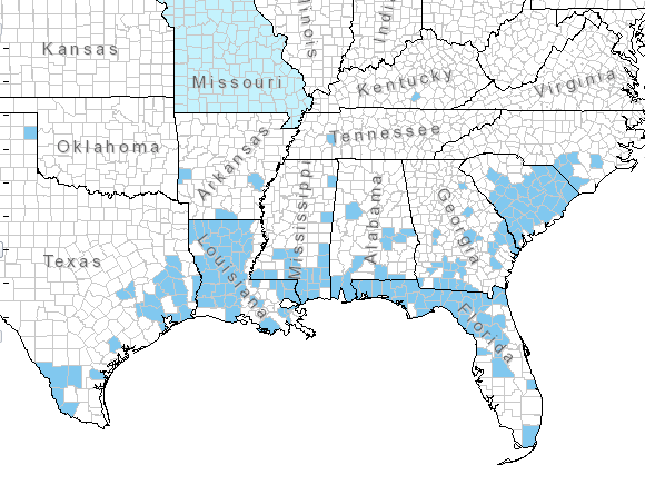 The range of Glandularia pulchella