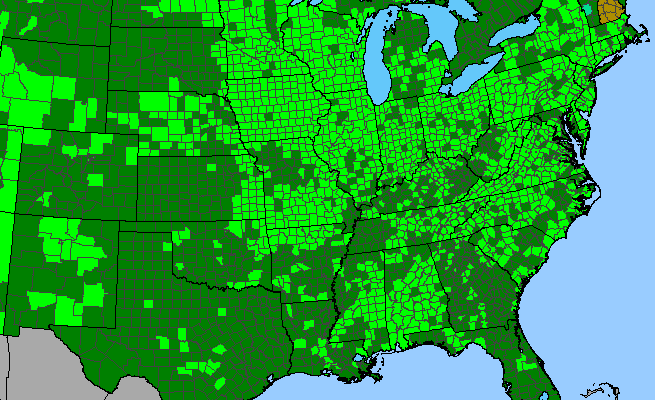 The range of Helenium autumnale