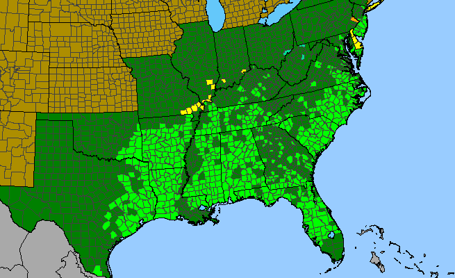 The range of Helianthus angustifolius