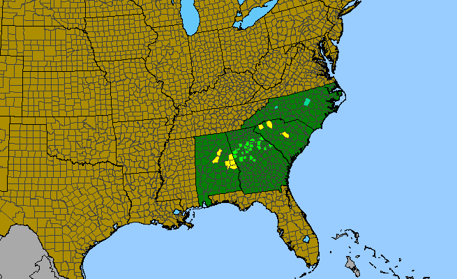 The range of Helianthus porteri