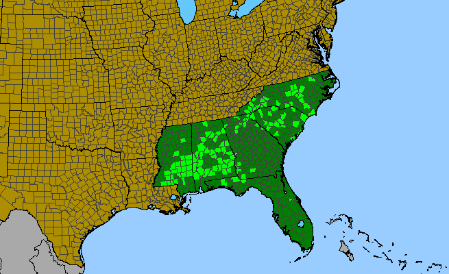 The range of Helianthus resinosus