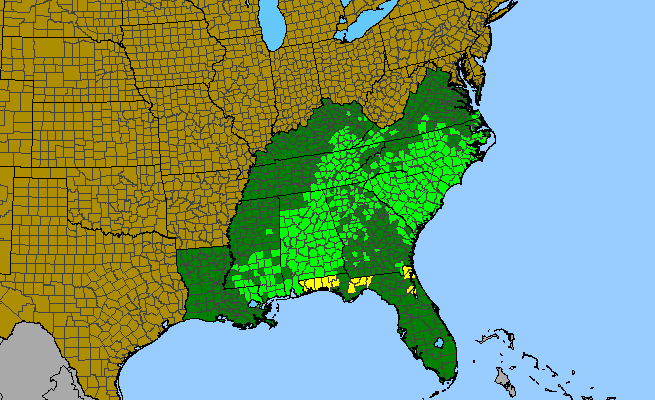 The range of Hexastylis arifolia