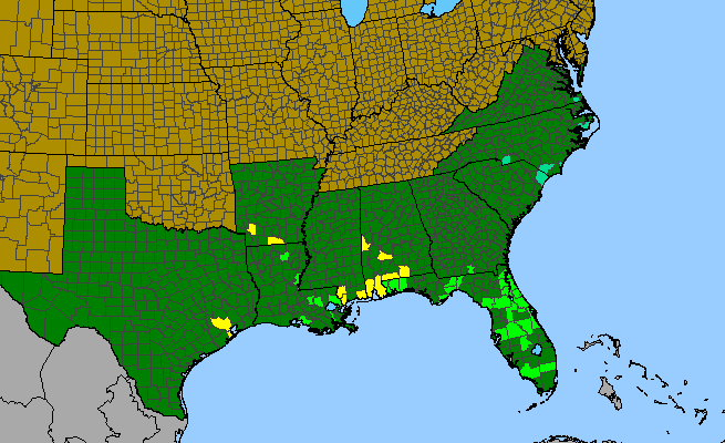 The range of Hibiscus coccineus