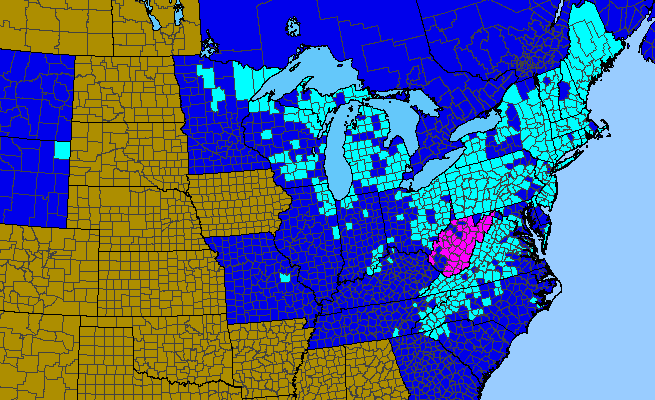 The range of Hieracium caespitosum