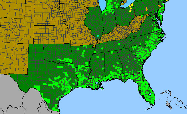 The range of Hydrocotyle umbellata