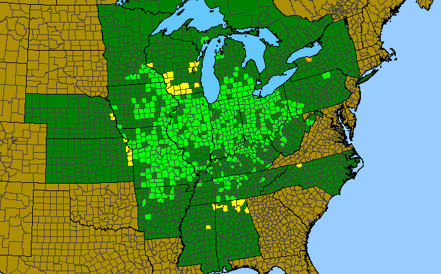 The range of Hydrophyllum appendiculatum
