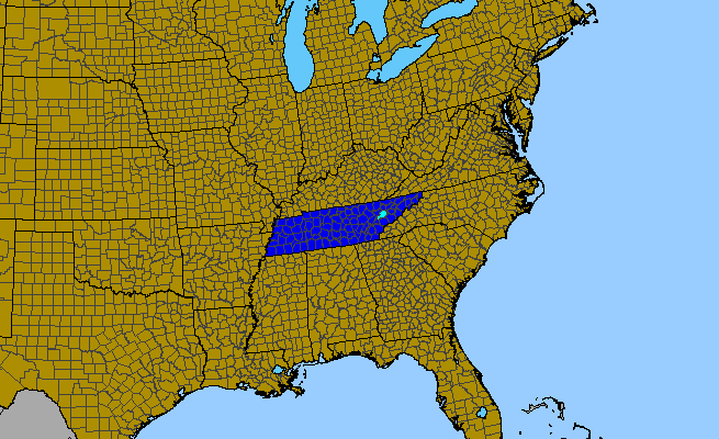 The range of Hypericum calycinum