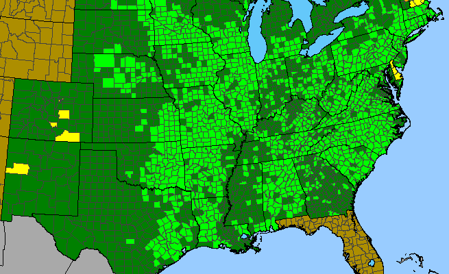 The range of Hypoxis hirsuta