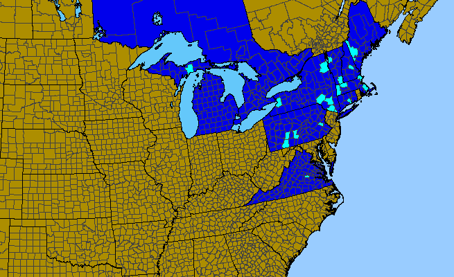 The range of Iris sibirica
