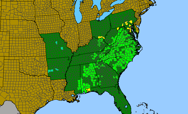 The range of Iris verna var. smalliana