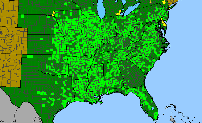 The range of Lactuca floridana