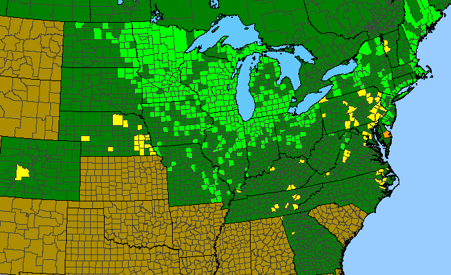The range of Lathyrus palustris