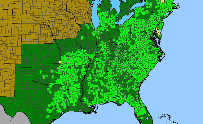 The range of Lespedeza hirta var. hirta