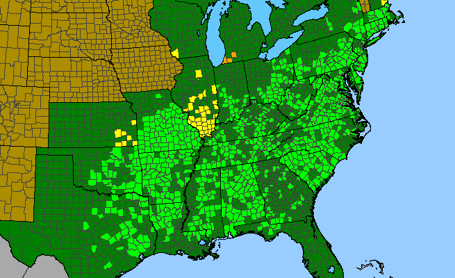 The range of Lespedeza procumbens
