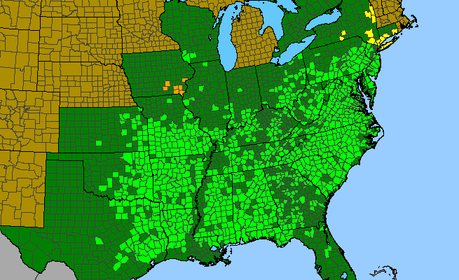 The range of Lespedeza repens