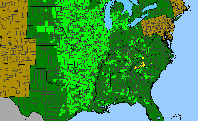 The range of Liatris aspera