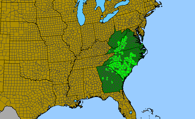 The range of Liatris virgata