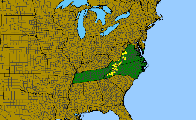 The range of Lilium grayi