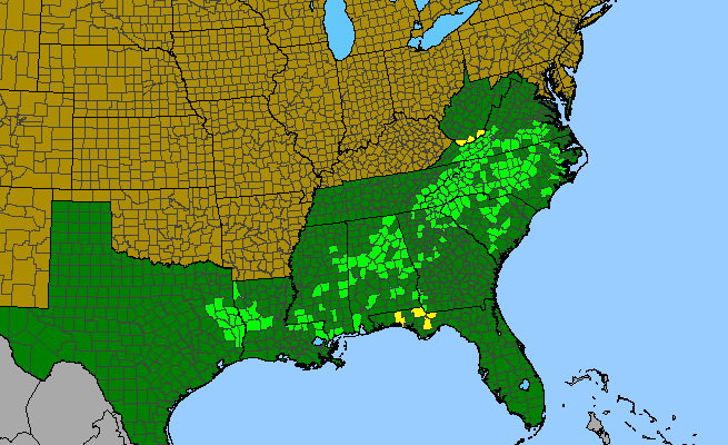The range of Lilium michauxii