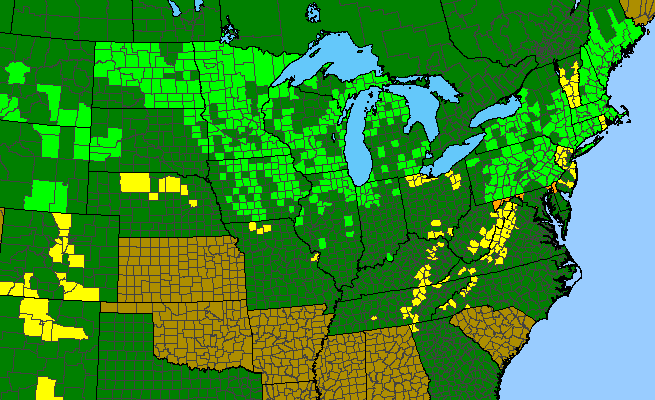 The range of Lilium philadelphicum