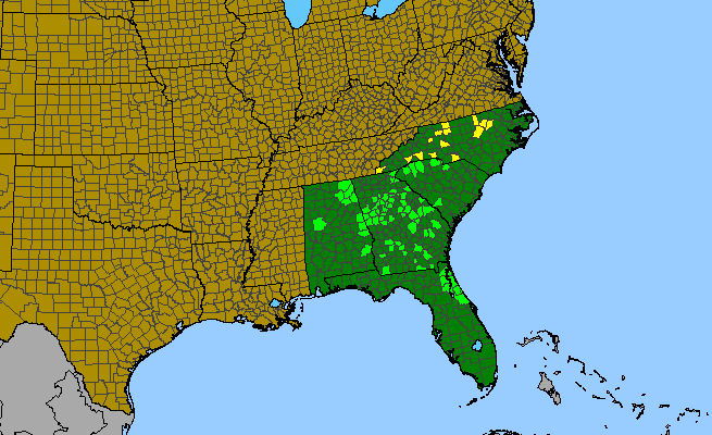 The range of Lindernia monticola