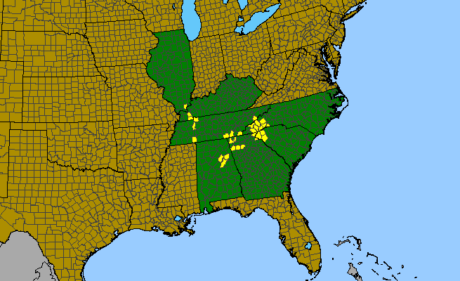The range of Lysimachia fraseri