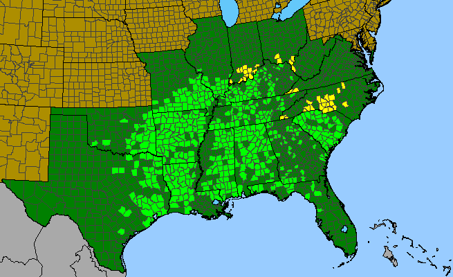 The range of Manfreda virginica