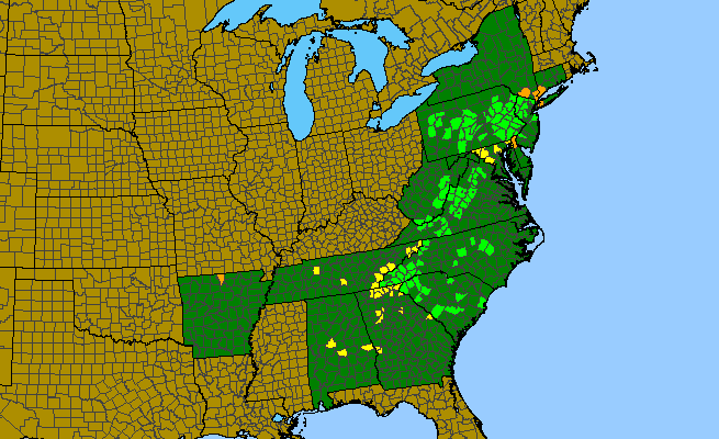 The range of Melanthium hybridum