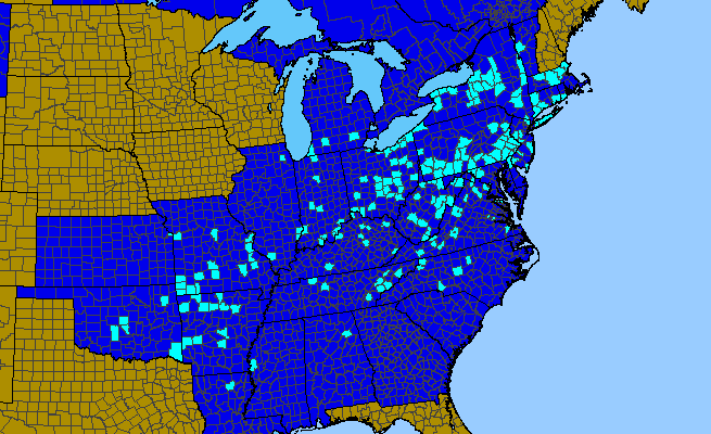 The range of Melissa officinalis