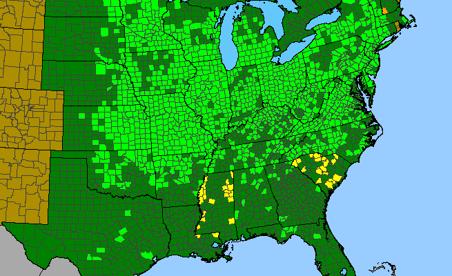 The range of Menispermum canadense