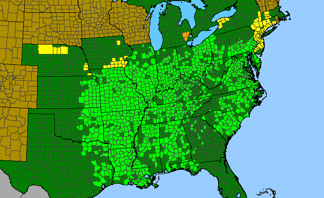 The range of Mimulus alatus
