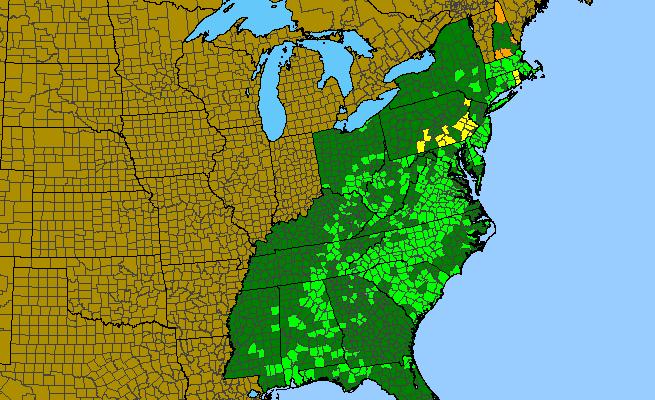 The range of Nabalus serpentarius