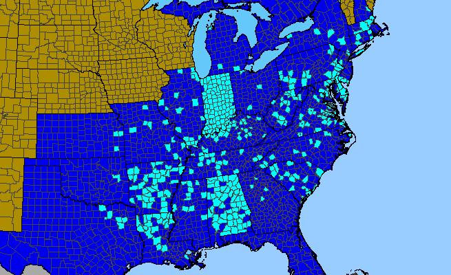 The range of Narcissus pseudonarcissus