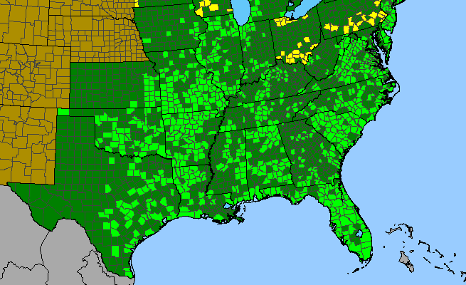 The range of Opuntia humifusa