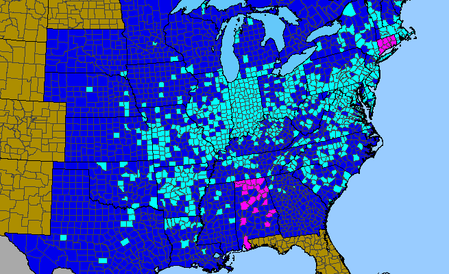 The range of Ornithogalum umbellatum